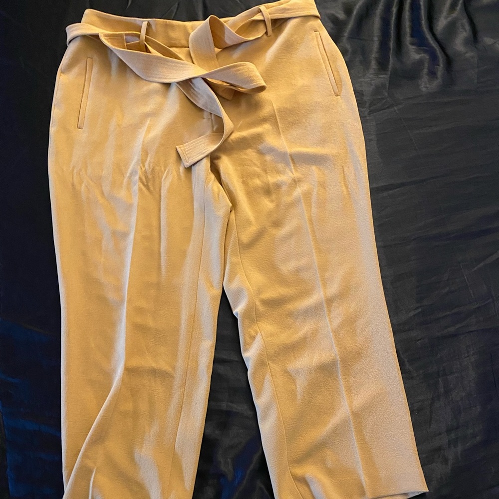 BarII womens dress pants